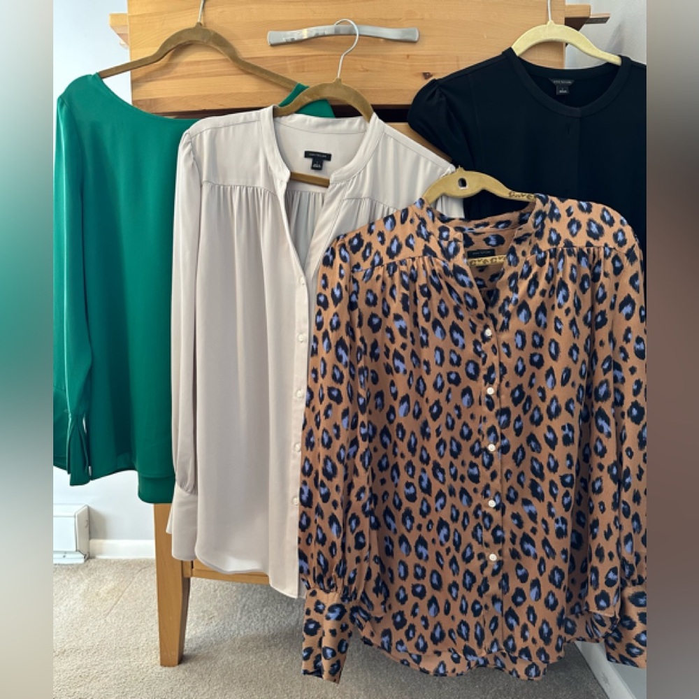Ann Taylor blouse bundle